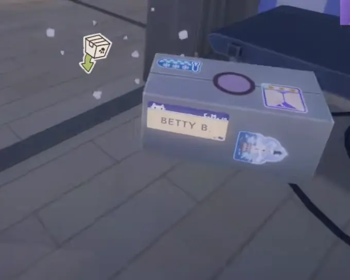 Cat Mail Co parcel identified as cold and fragile