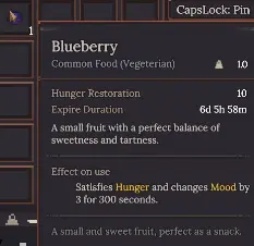 Dungeon Settlers Blueberry tooltip showing 10 Hunger Restoration and plus 3 Mood for 300 seconds