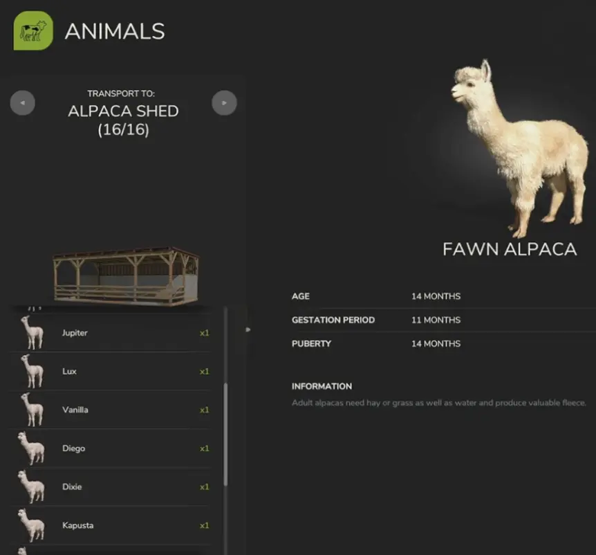 Alpaca information showing puberty at 14 months, an 11-month gestation period, and a full shed with 16 of 16 animals