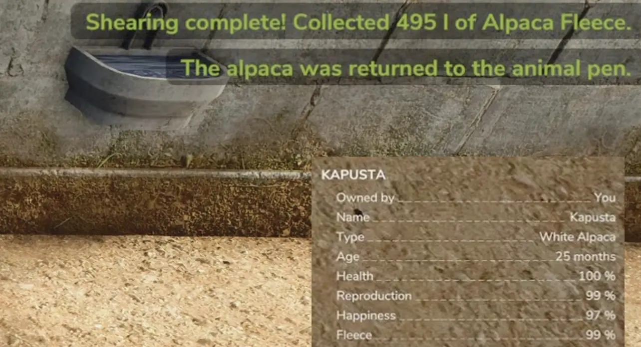 Alpaca shearing result showing 495 liters collected from an animal with 99 percent fleece growth