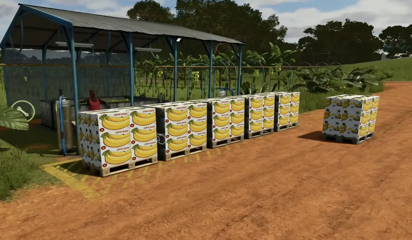 Banana boxes produced at a washing station after raw bananas have been collected and processed