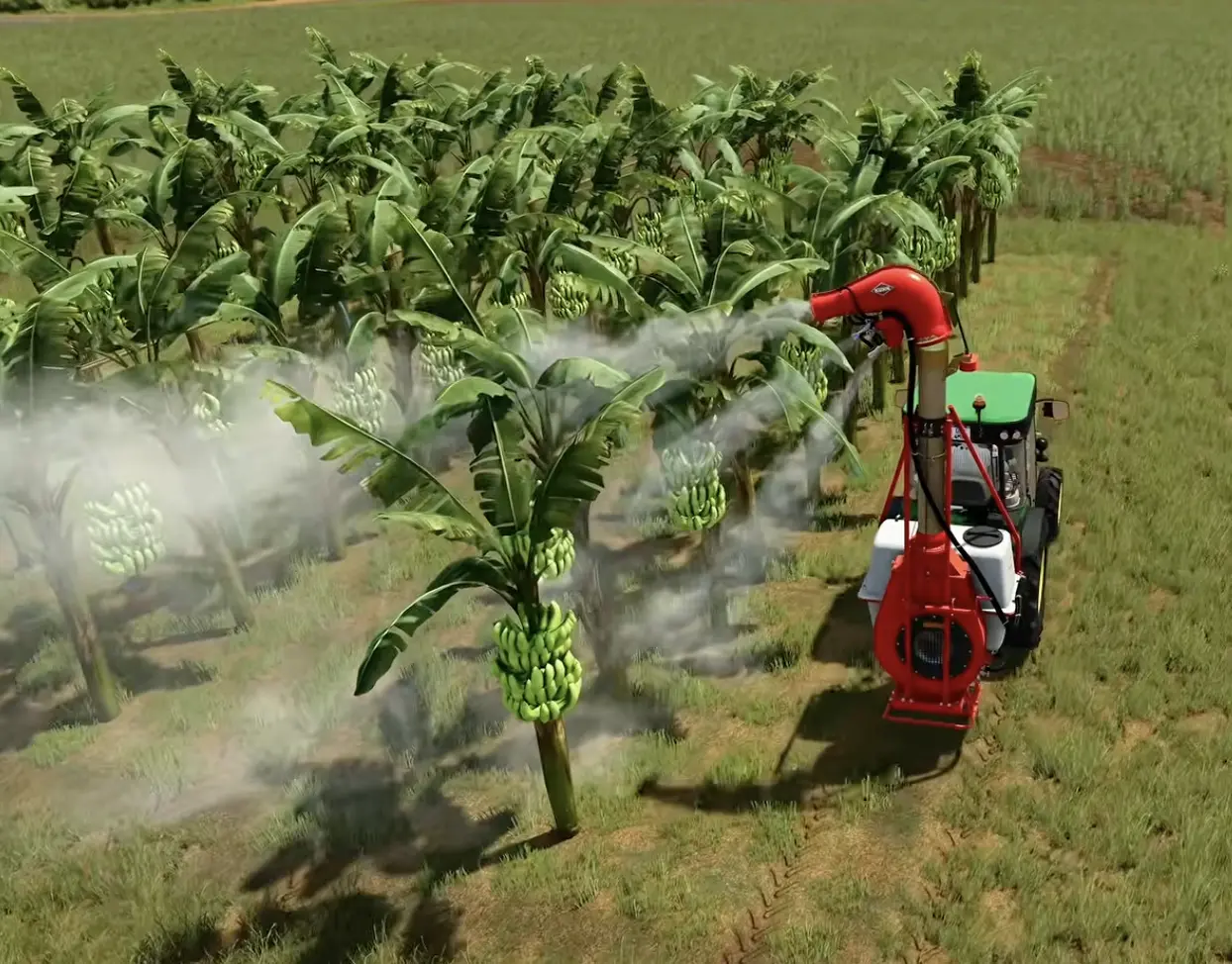 Tractor-mounted fungicide sprayer applying treatment across adjacent banana rows