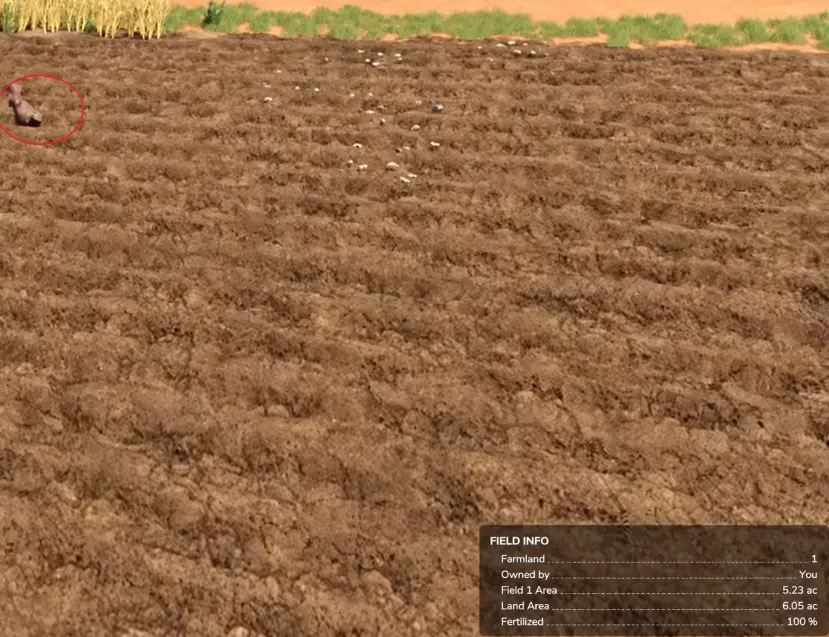 Dinosaur bone exposed in cultivated Field 1 with the farmland information panel visible