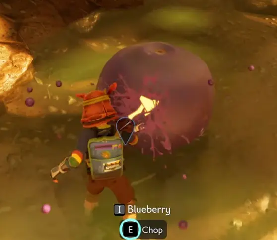 Blueberries used during Grounded 2 mid-game equipment progression