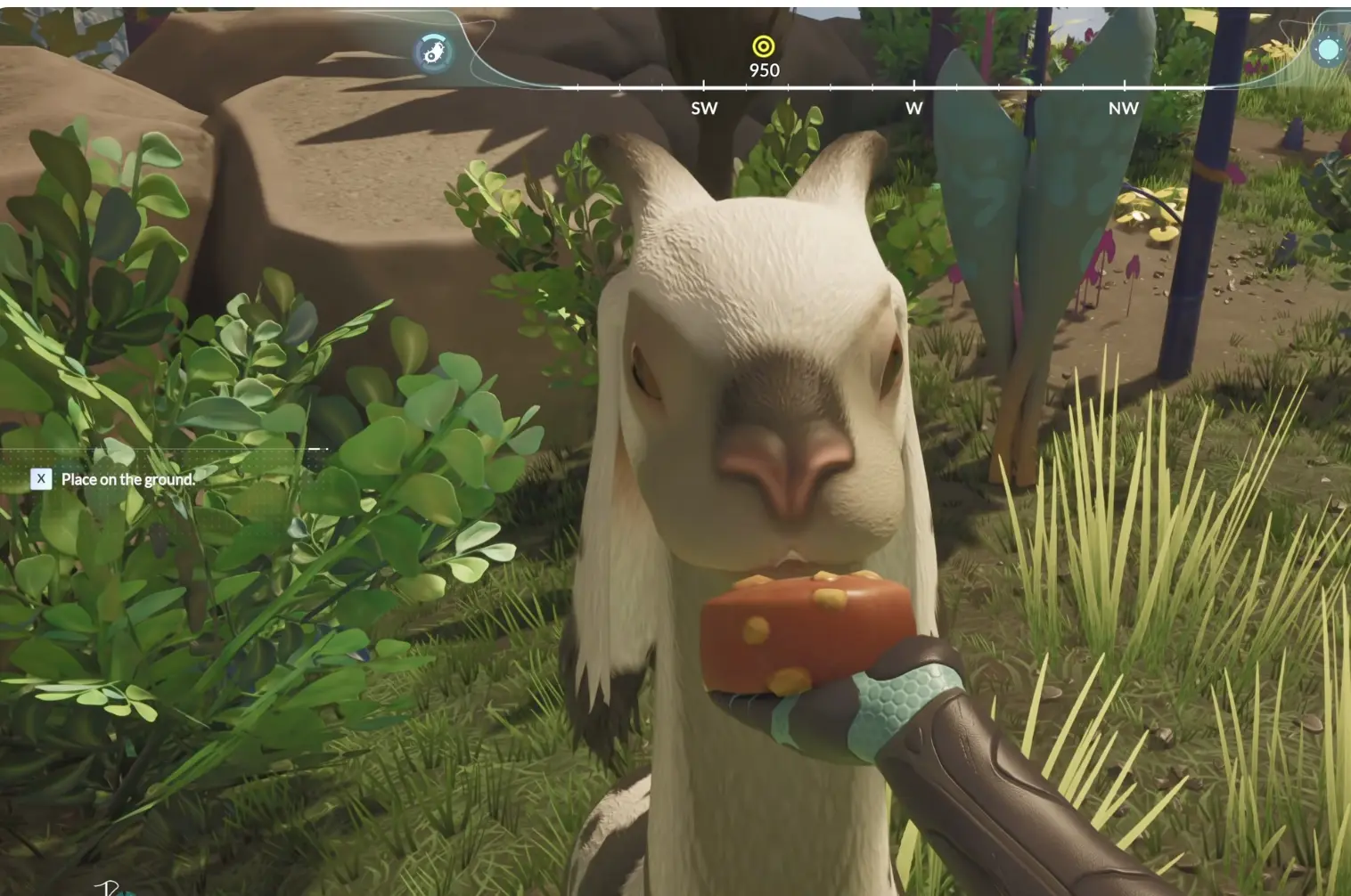 Feeding an animal while building trust in Honeycomb The World Beyond