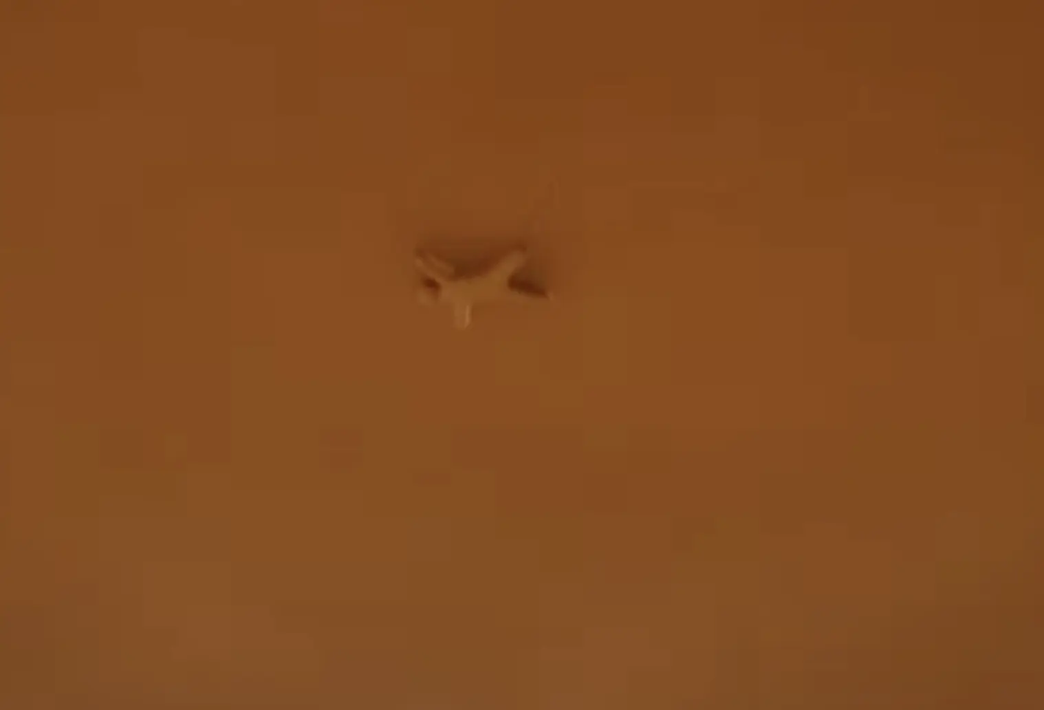 MECCHA CHAMELEON ceiling fan hiding spot
