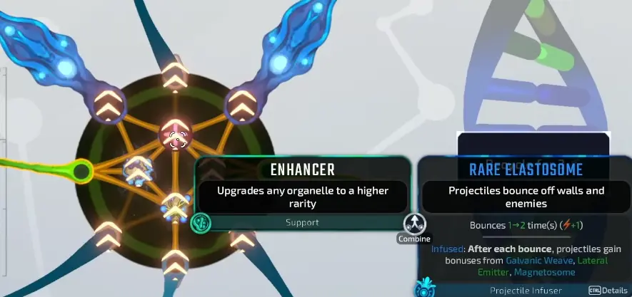 The Builds I Trust After the First Two Organs