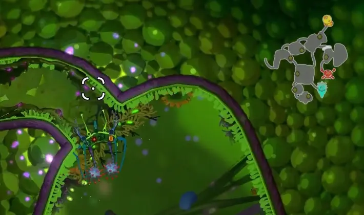 Stomach minimap showing the boss route and a nearby branch in Pathogenic
