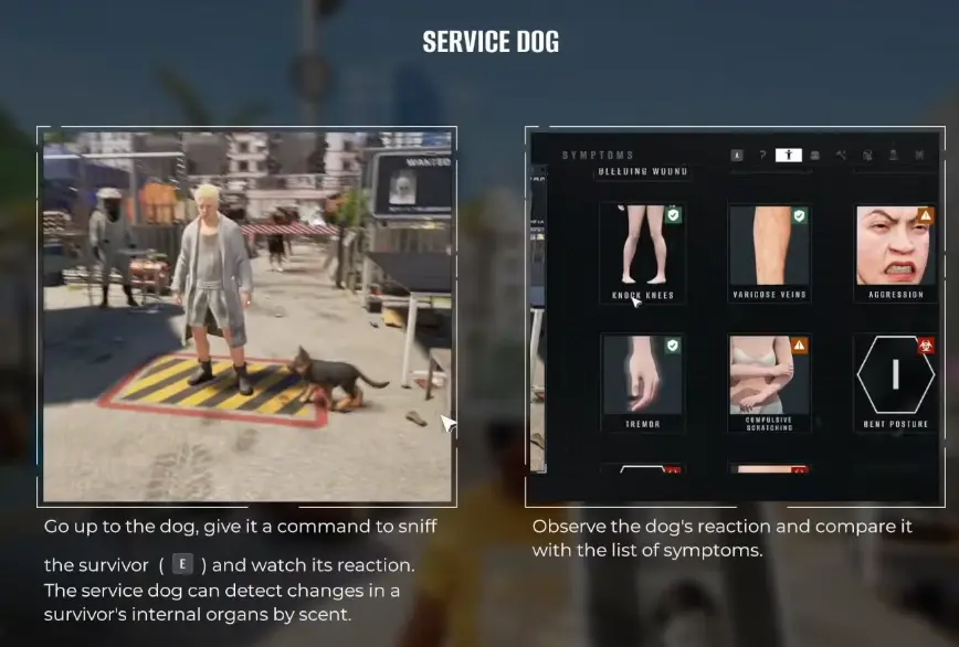 Miami Zero Service Dog tutorial showing the sniff command and corresponding symptom observations
