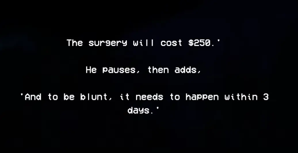 Shift At Midnight veterinarian stating that pet surgery costs $250 and must happen within three days