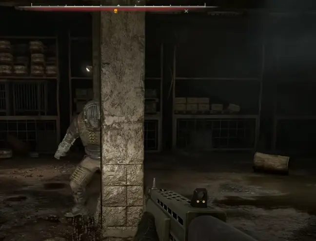 Amok fight during Distant Mirage in STALKER 2 Cost of Hope