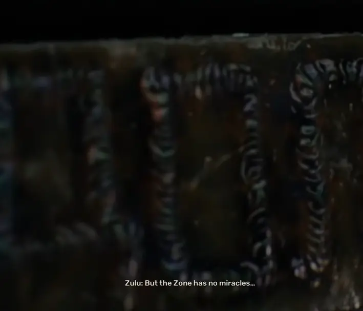 Zulu during the Duty ending of STALKER 2 Cost of Hope