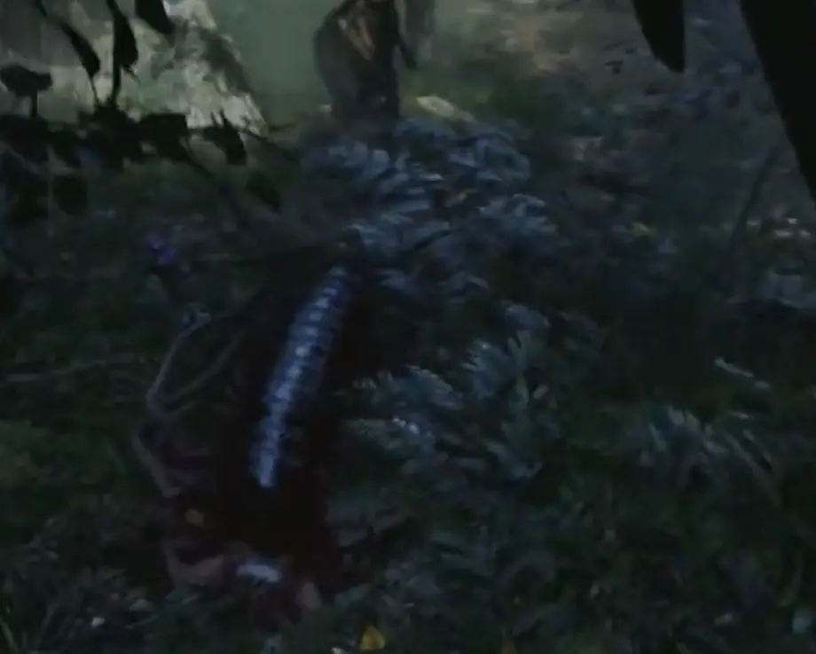 Centipede split into multiple active sections in The Mound Omen of Cthulhu